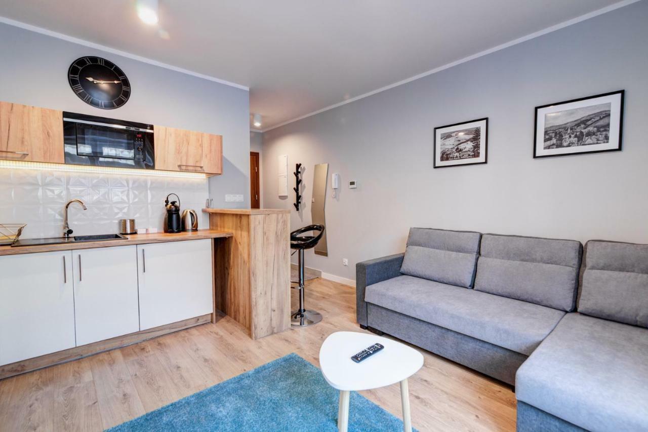 Studio Cicha Krynica Zdroj Buitenkant foto
